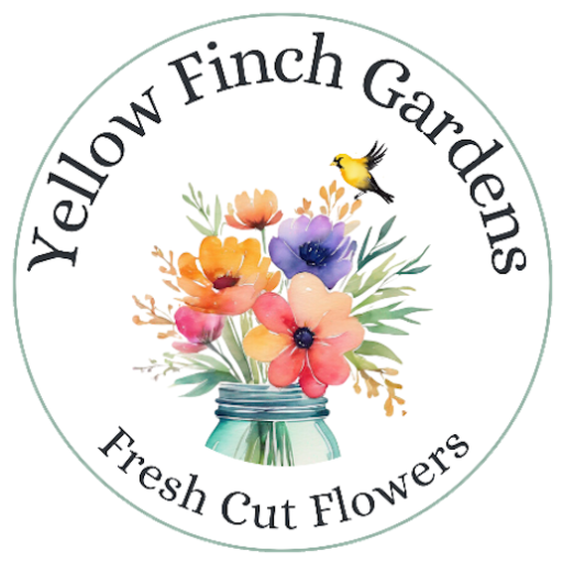 Yellow Finch Gardens Flower Farm