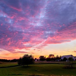 September 11th Flower Social Event: Friday Sunset Date Night