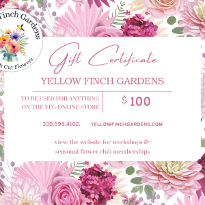 YFG Gift Card