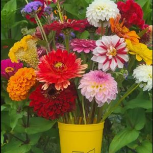 August 9th Flower Social Event