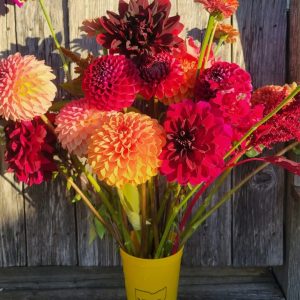 September 20th Flower Social Event