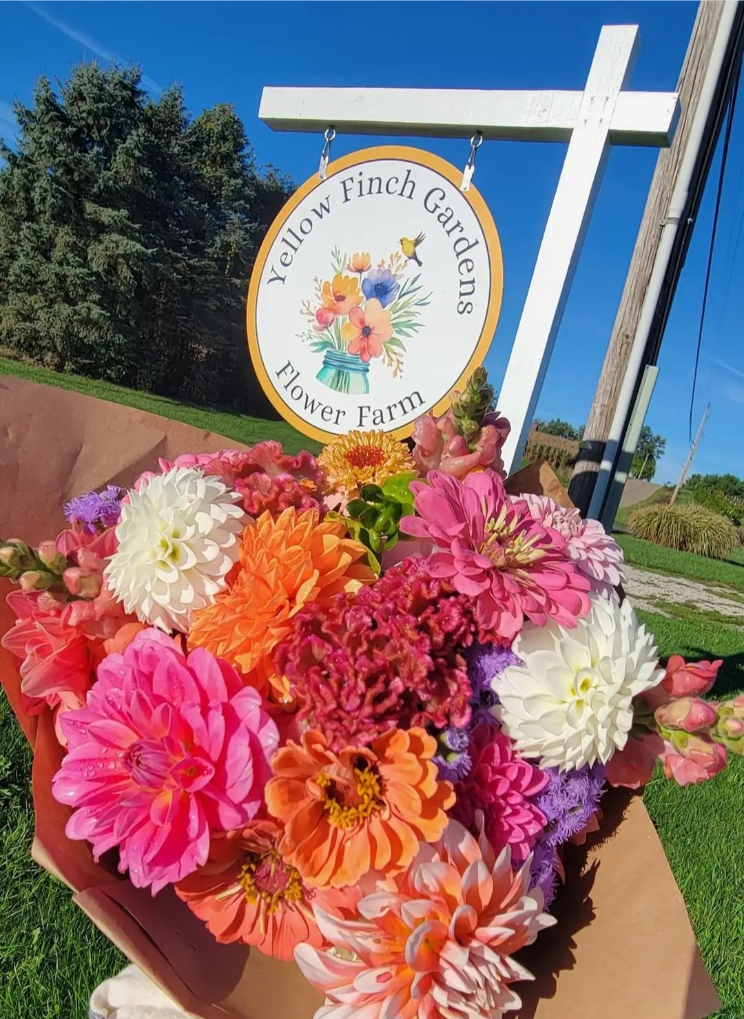 flower-stand-pic2 flower-stand-pic2