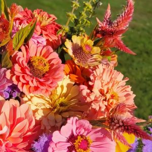 The Brooke Collection - Pastel cut Flower Garden Kit