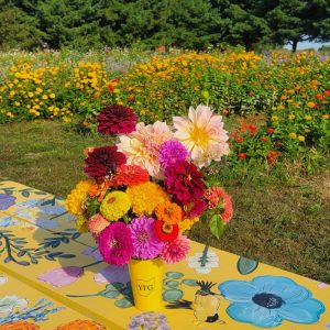 September 27th Yellow Finch Fall Fest You-Pick